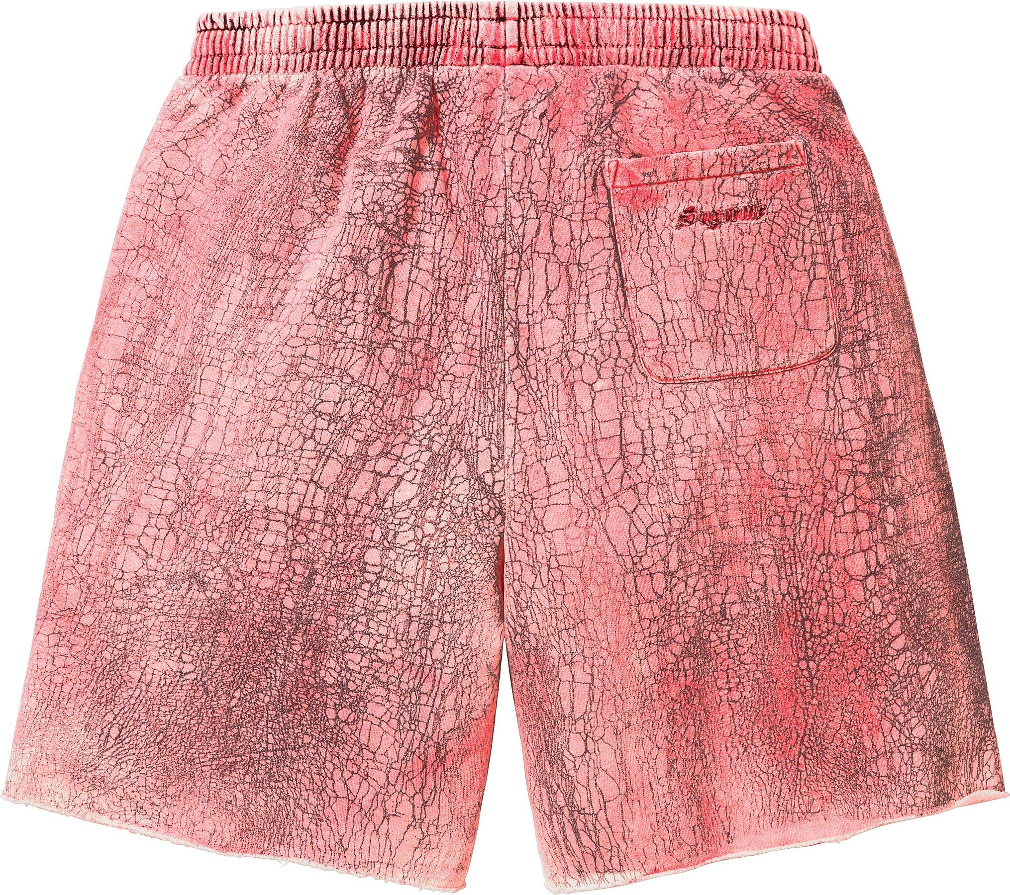 Crackle Sweatshort view 10